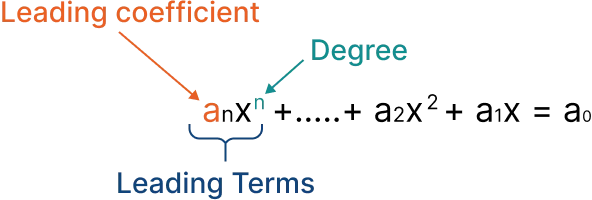 degree, leading coefficient, and leading term